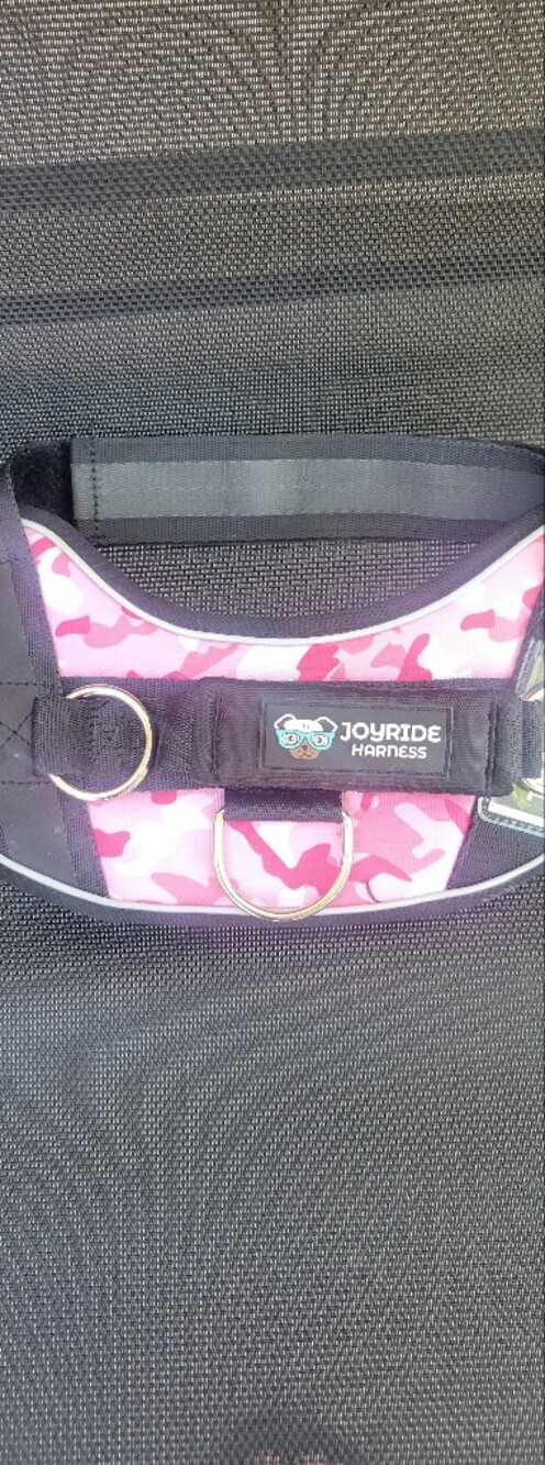 Dog Harness